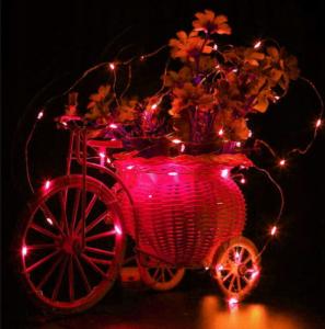 LAMPKI DRUCIKI 20 LED NA BATERIE CZERWONY