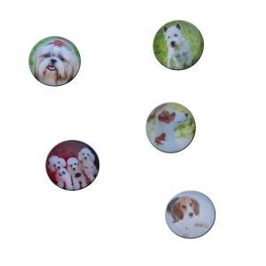 Magnesy na lodówkę kolorowe pieski