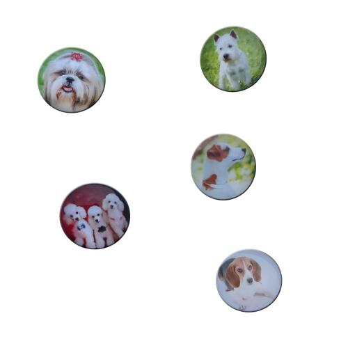 magnesiki.JPG