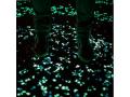 KAMIENIE FLUORESCENCYJNE ŚWIECĄCE KAMYCZKI 100szt